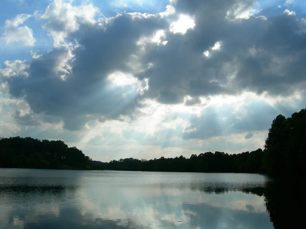 DSCN4437.jpg