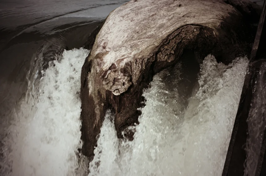 By the river 5.JPG