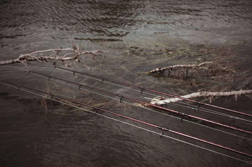 By the river 17.JPG