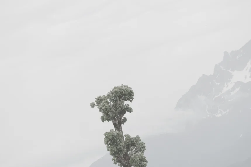 Everyday's the same ...more than you can imagine 8.JPG