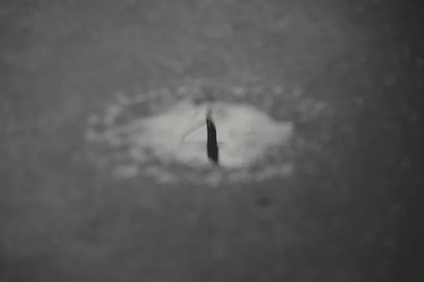 Everyday's the same ...more than you can imagine 14.JPG