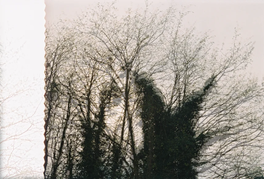 Kissing the Alternative Dimension - Back to Borges 27.jpg