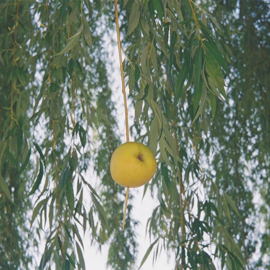 Interviewing the valley and its mountain ‏3.JPG