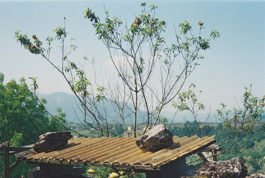 Interviewing the valley and its mountain ‏5.JPG