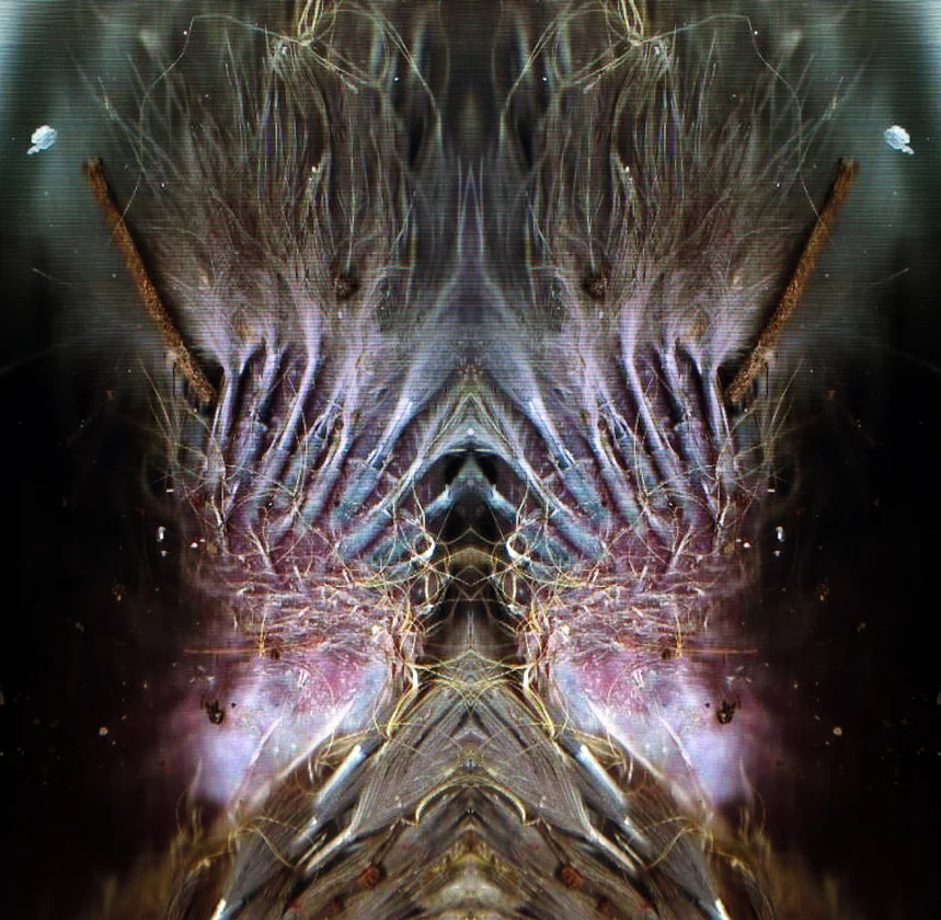 Disco Beast within Dead Bird 2.jpg