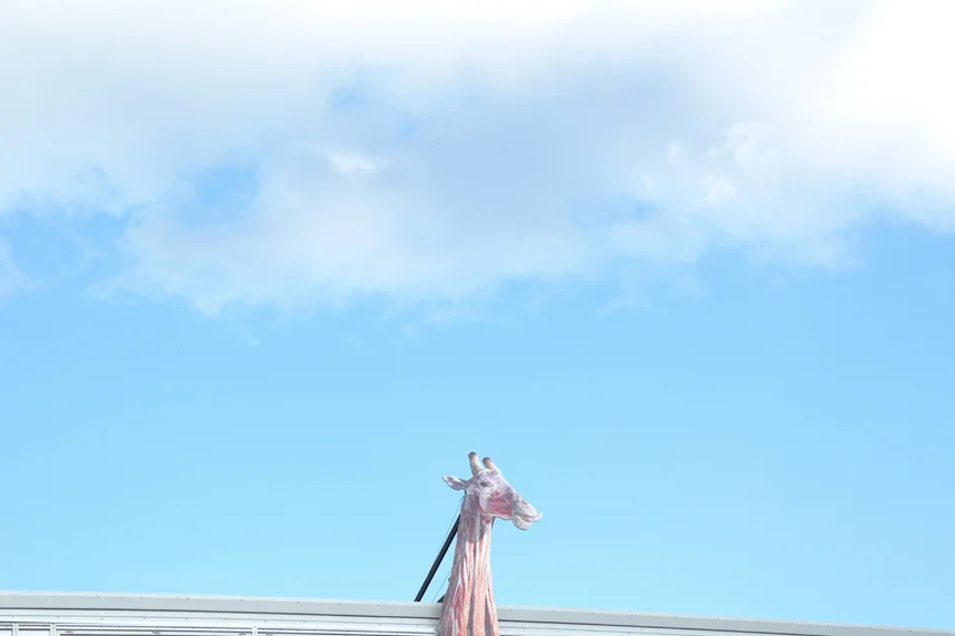 Motherland - Downtown 1.jpg