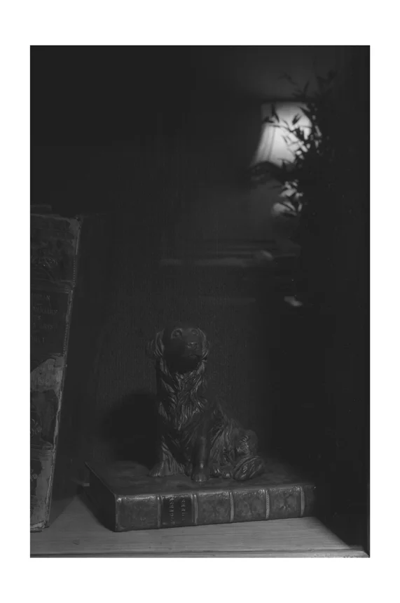 05 le Veilleur de Nuit.JPG
