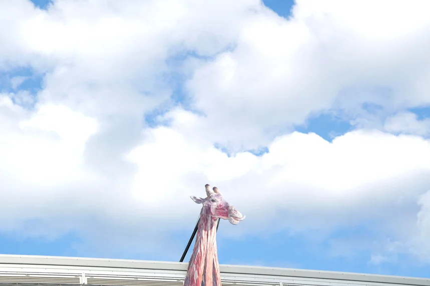 03 Vegetarianism.JPG