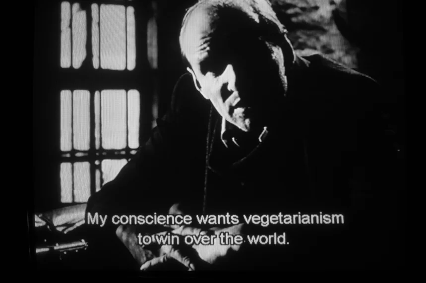 10 Vegetarianism.JPG
