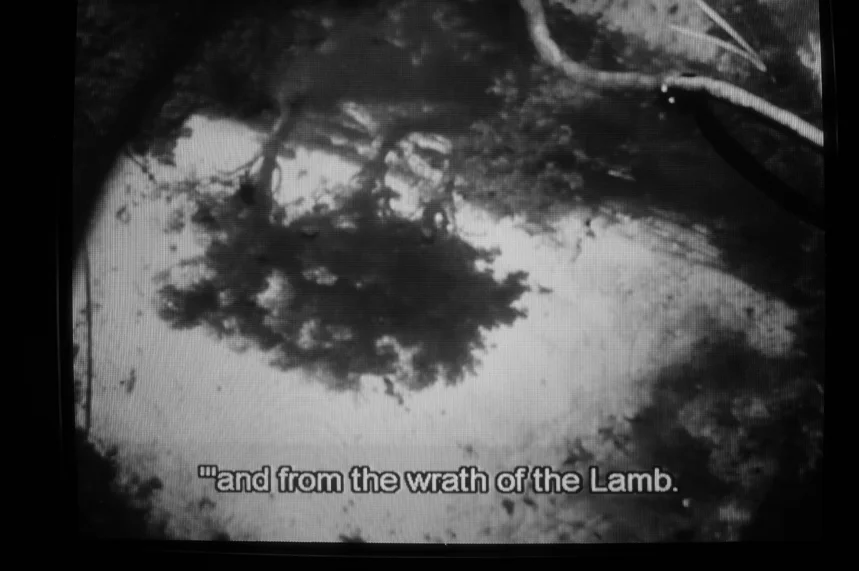 11 Vegetarianism.JPG