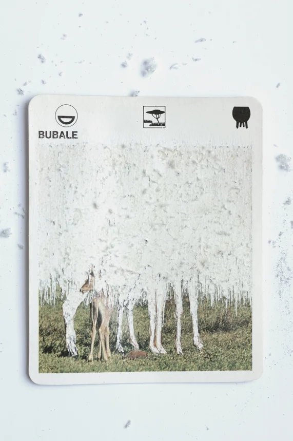 13 Vegetarianism.JPG