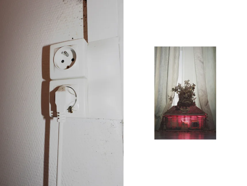 Smash my Breath - Best Wishes Mr Lynch 6.jpg