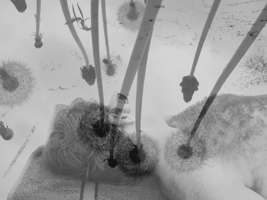 6 RAM III-II-I-IV-V-VI.JPG