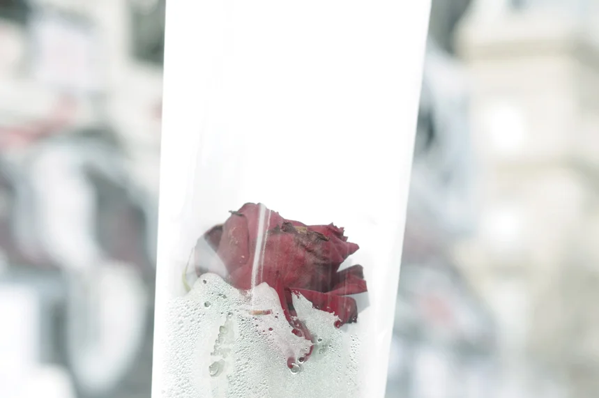 La République 3.JPG