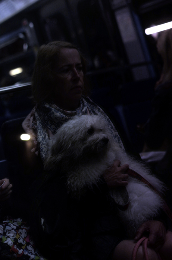 Weather Underground 53.JPG