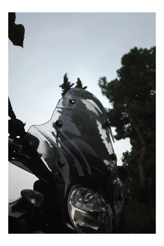 La residenza di un fotografo disperato a Bologna 67.JPG