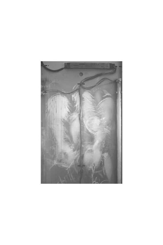 Radio God Projects 39.JPG