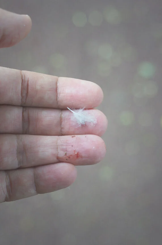 The kindest man 02.JPG