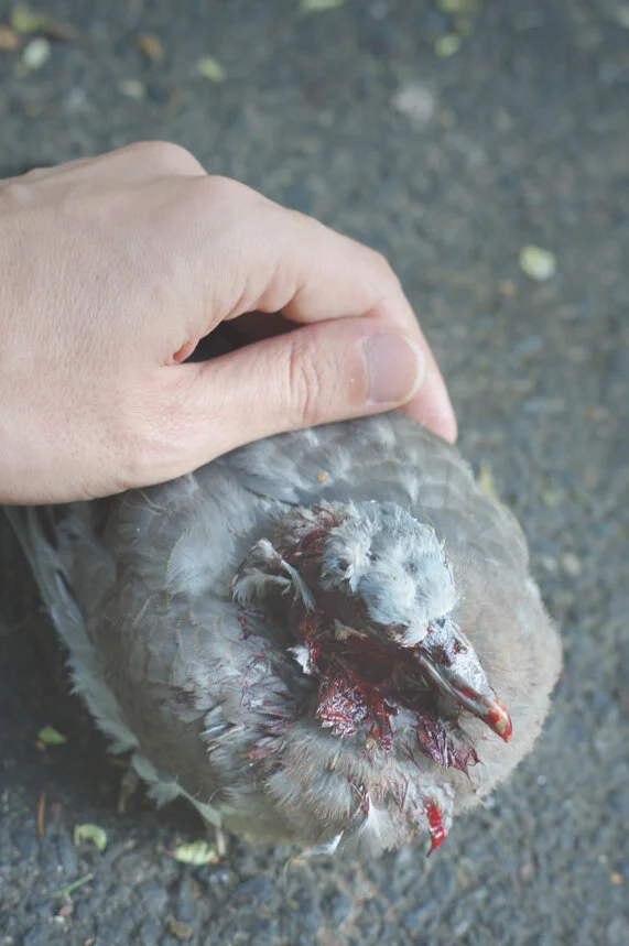 The kindest man 01.JPG