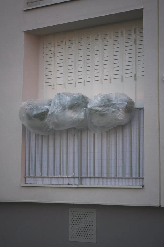 Morning Kingdom (on my way home) - Annex 05.JPG