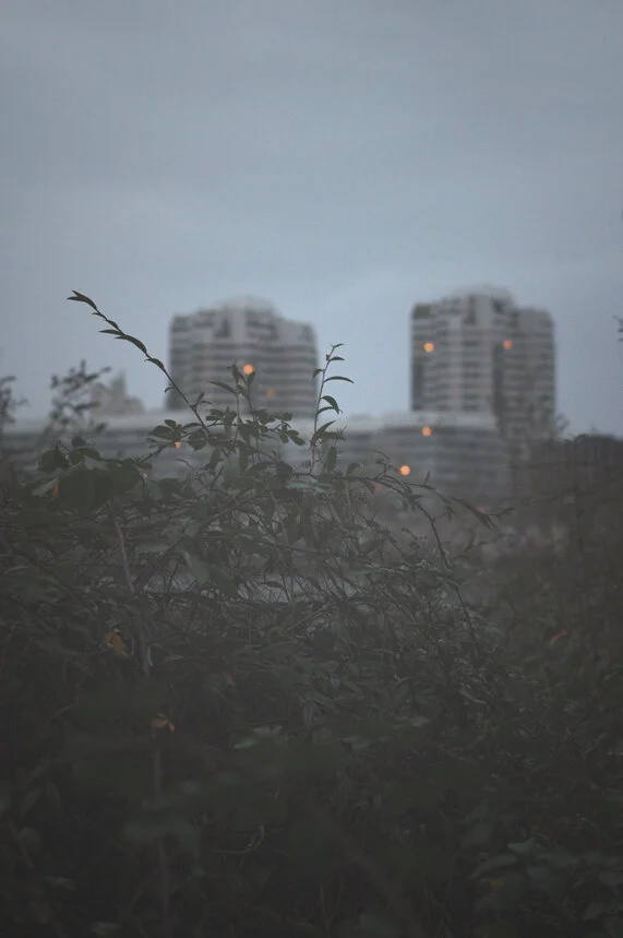 Lapse Of Lake On A Winter Evening Lee Marie Sadek Interferences