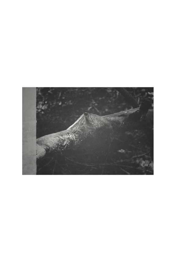 Trapdoor Melancholy 01.JPG