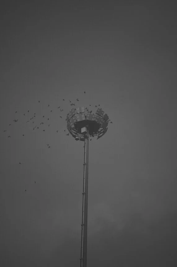 Trapdoor Melancholy 11.JPG