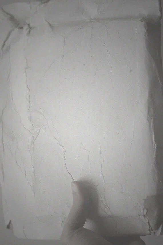 Trapdoor Melancholy 34.JPG