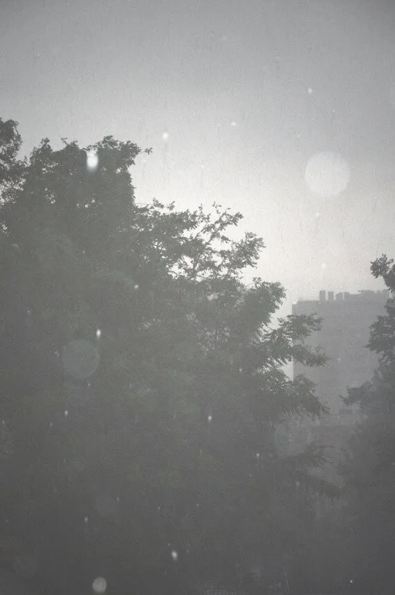 Trapdoor Melancholy 37.JPG