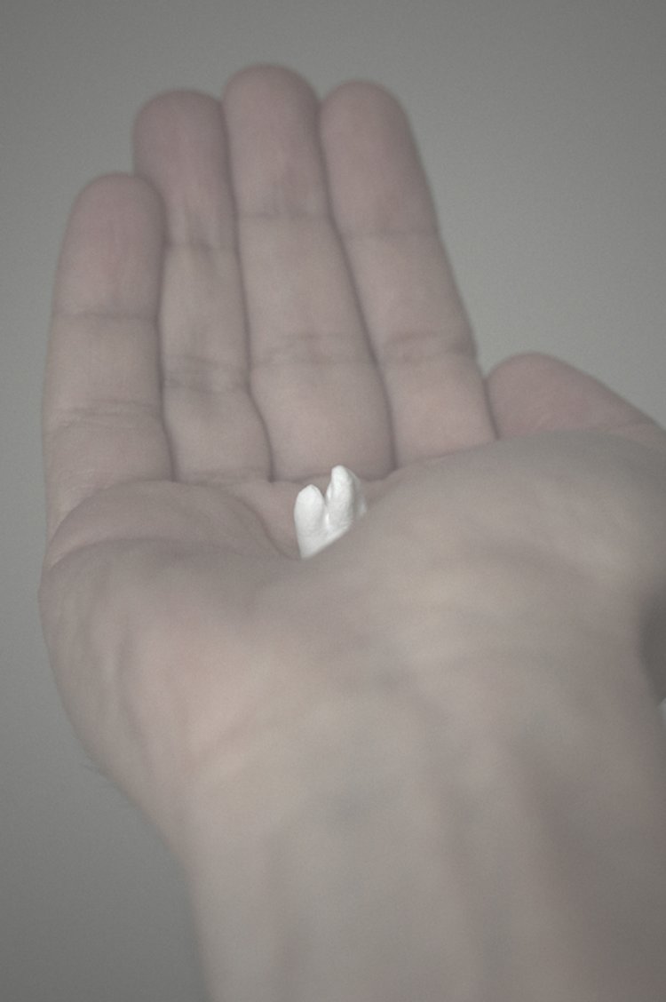 Growing Tooth 01.JPG