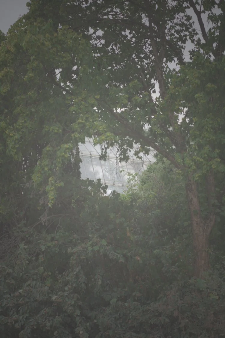 L'Insouciance 03.JPG