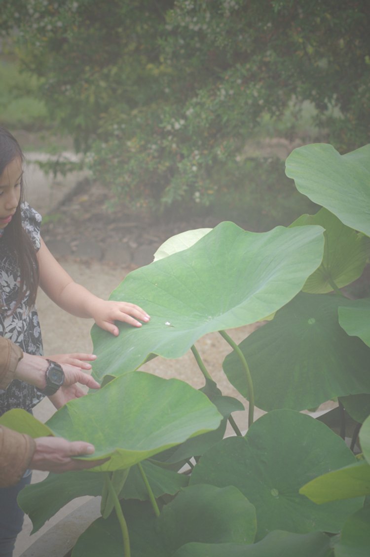 L'Insouciance 04.JPG