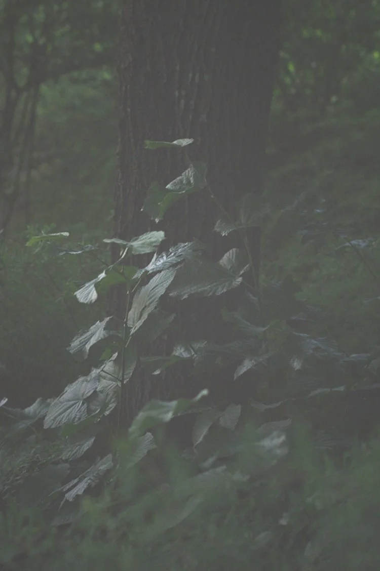 Yeonhwa by the Lake 11.JPG