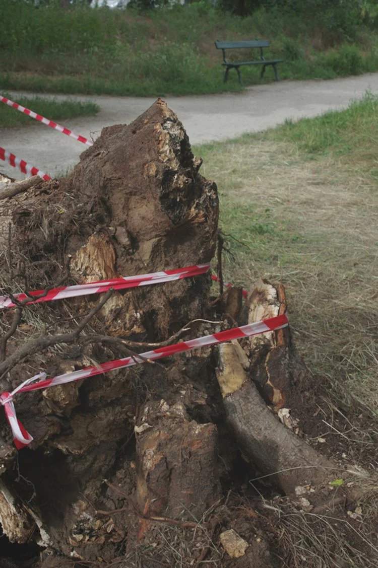 Encountering Death 02.JPG