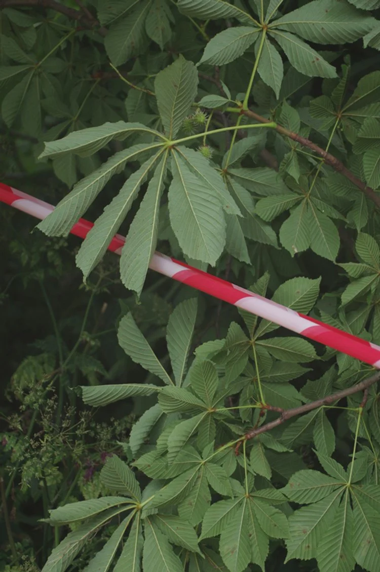 Encountering Death 01.JPG