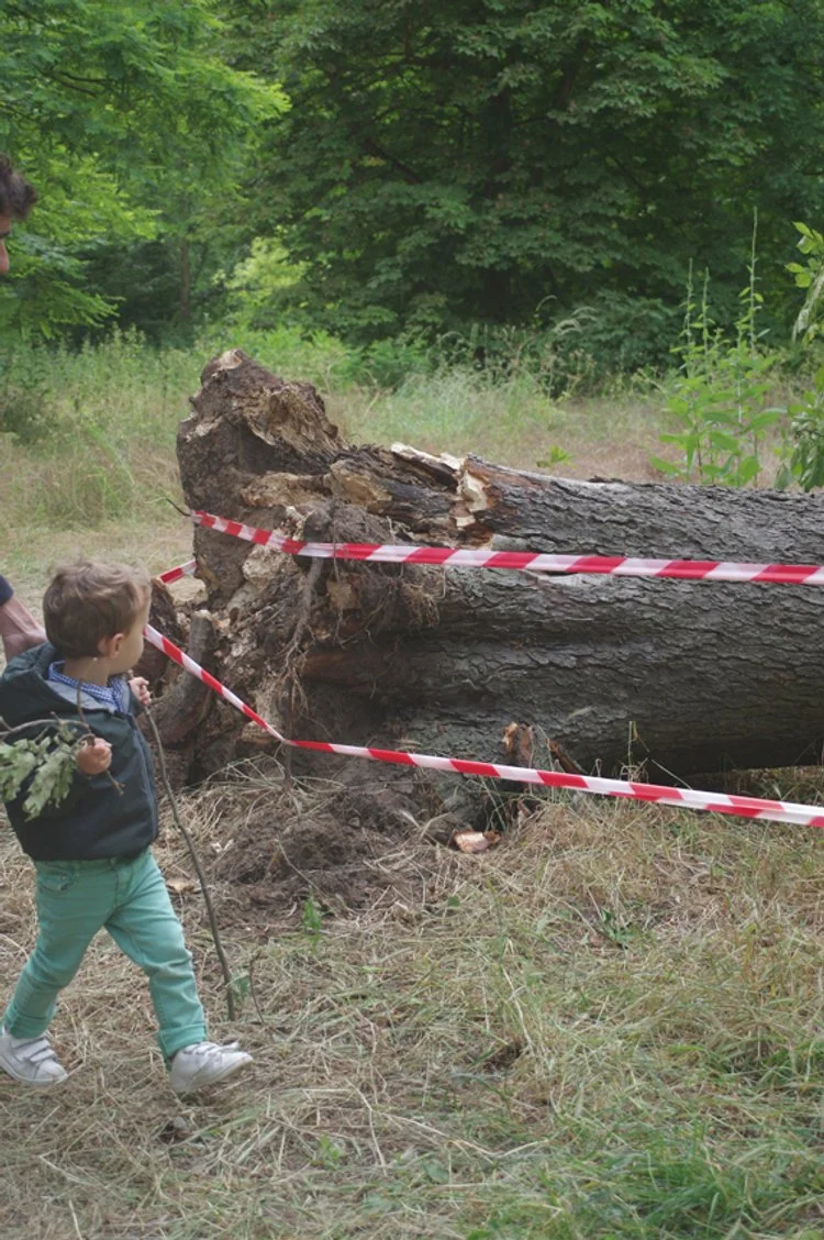 Encountering Death 03.JPG