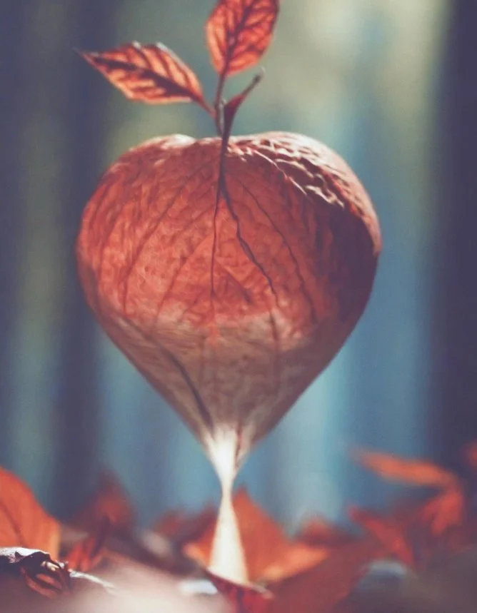 Fruit Monument 01.jpg