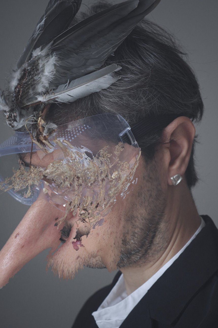 Bird Mask Melancholy Hybrid.JPG