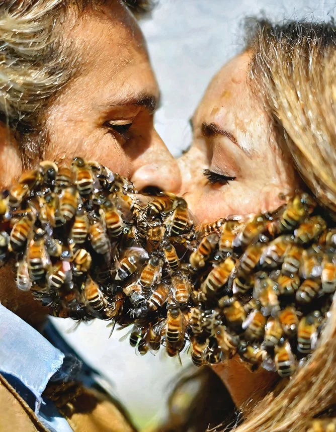 01 Honeymoon - Lovers in the Wind 02.jpeg