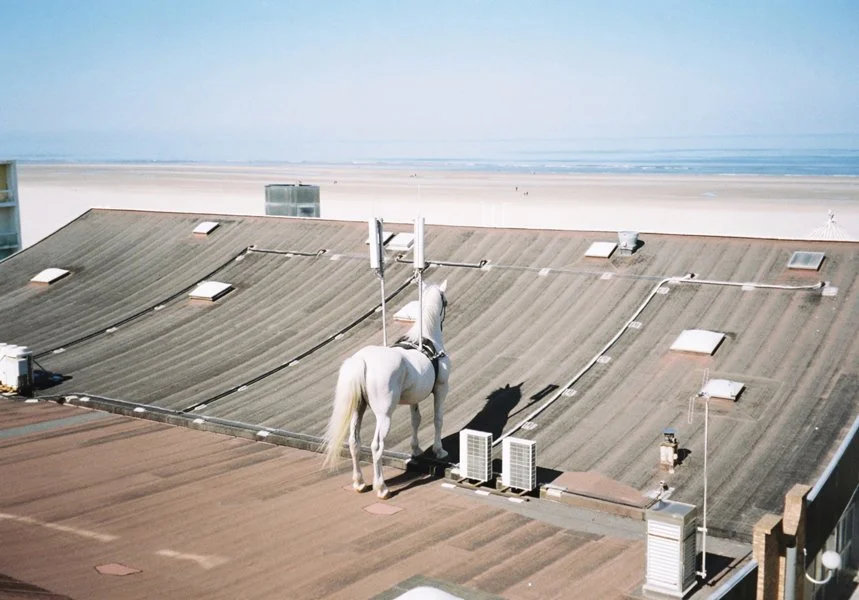 The New Order - Broadcasting