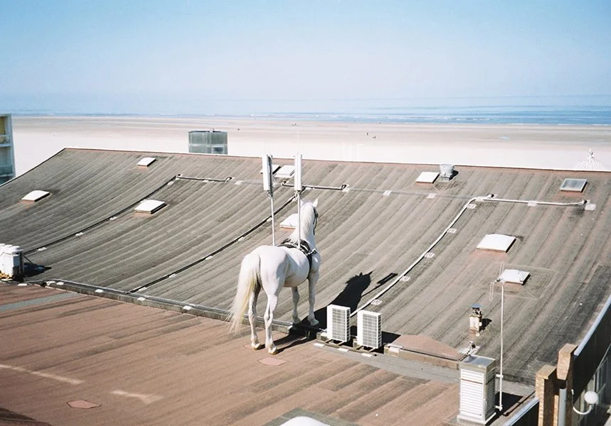 The New Order - Broadcasting 01.jpg