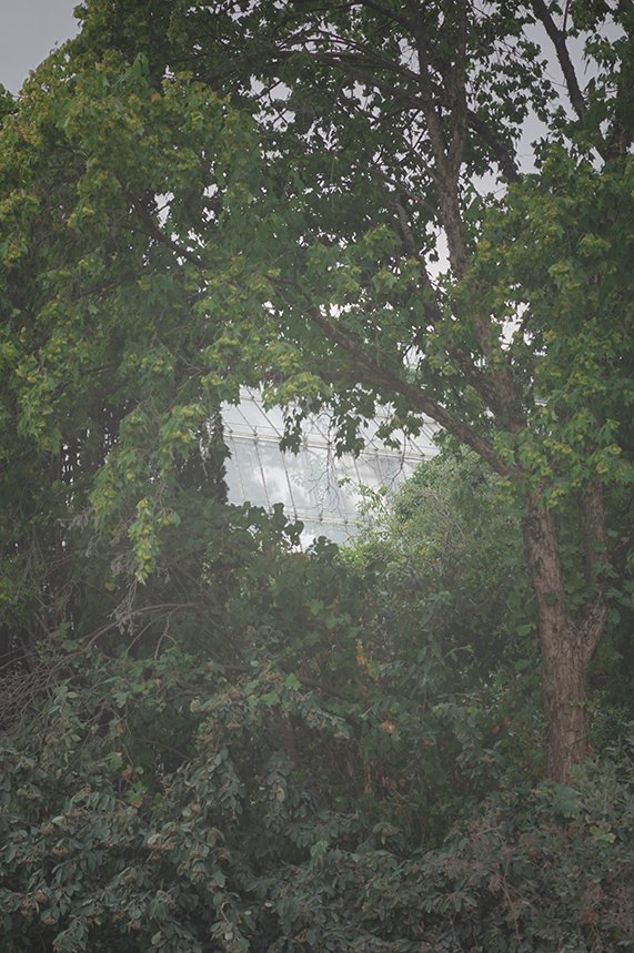 L'Insouciance 04.jpg