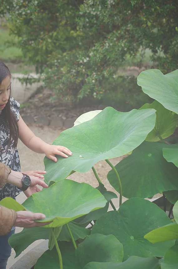 L'Insouciance 05.jpg