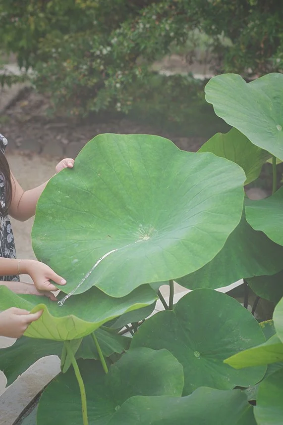 L'Insouciance 06.jpg