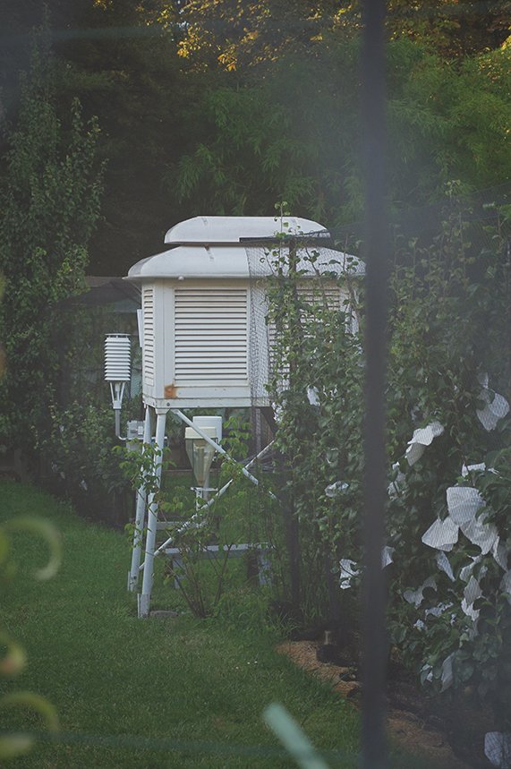 L'Insouciance 09.jpg