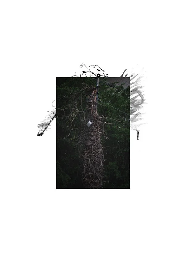 C.218 She Borderline 01.jpg