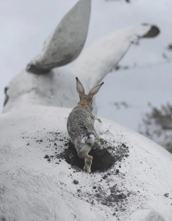 AL Massih Kaam !!!.jpg