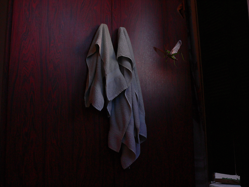 A Visit (to my old bedroom in Beirut)