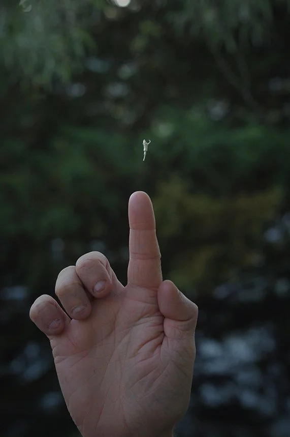 Morning Kingdom Telekinesis