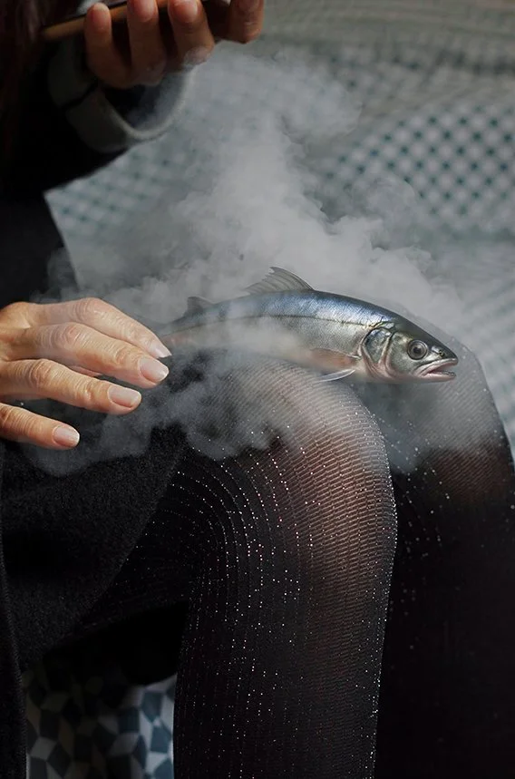 Je n'ai pas vu venir le froid. S'abattre sur nos côtes.